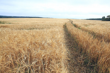 Similar image 10531925