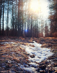 Similar image 10531927