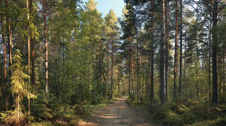 Similar image 10531928