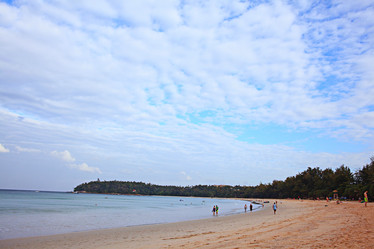 Similar image 10531934