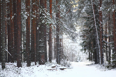 Similar image 10531937