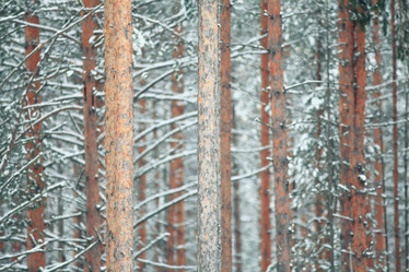 Similar image 10531939