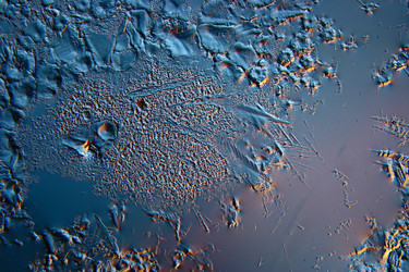 Similar image 10531966