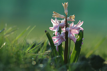 Similar image 10531969