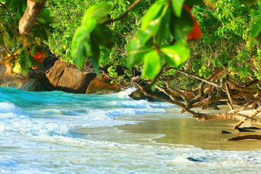 Similar image 10531976