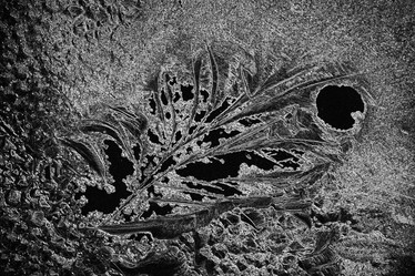 Similar image 10531985