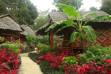 Similar image 10531986