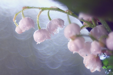 Similar image 10532020