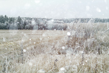 Similar image 10532025