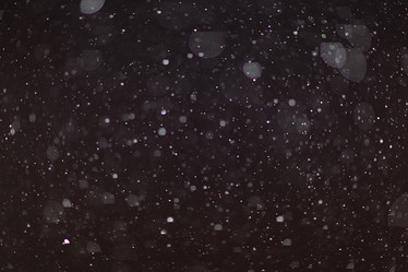 Similar image 10532028