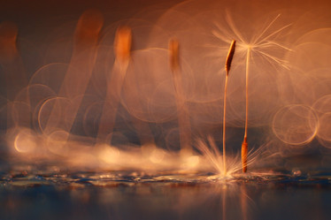 Similar image 10532044