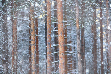 Similar image 10532045