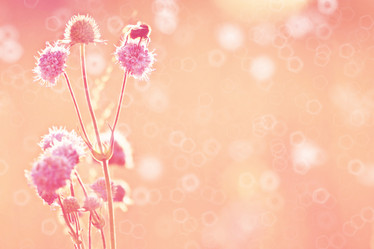 Similar image 10532057