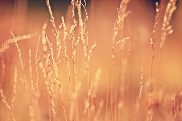 Similar image 10532059