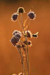 Similar image 10532060