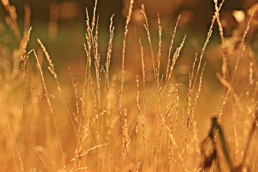 Similar image 10532061