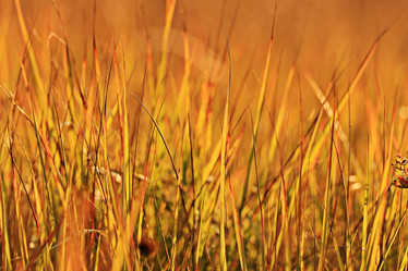 Similar image 10532062