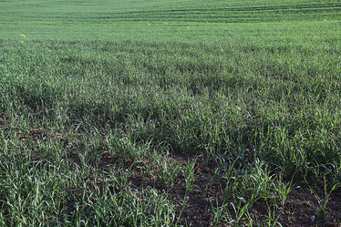 Similar image 10532082