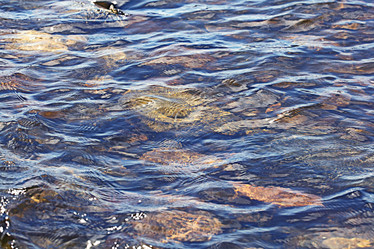 Similar image 10532086