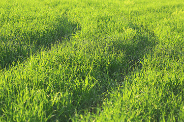 Similar image 10532087