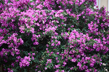 Similar image 10532106