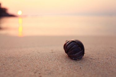 Similar image 10532115