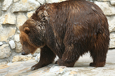 Similar image 10532137