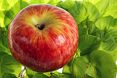 Similar image 10532147