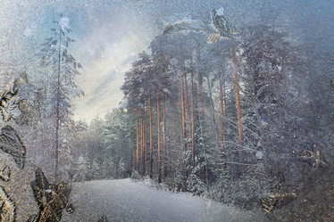 Similar image 10532172