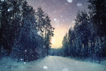 Similar image 10532174