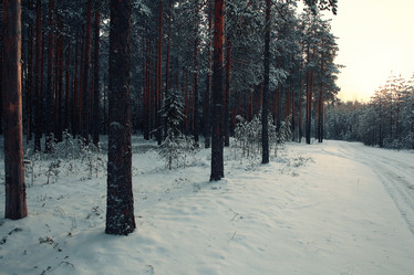 Similar image 10532175