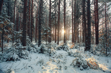 Similar image 10532178