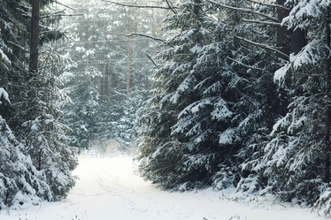 Similar image 10532180