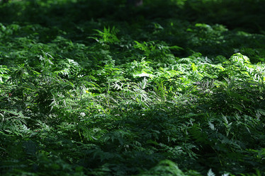 Similar image 10532182