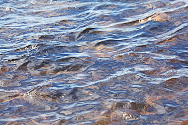 Similar image 10532184