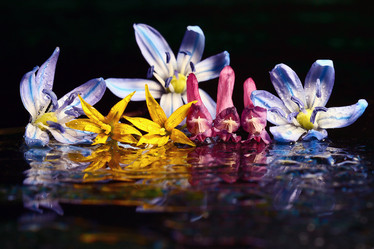 Similar image 10532187