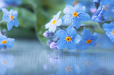 Similar image 10532241