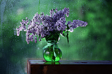 Similar image 10532247