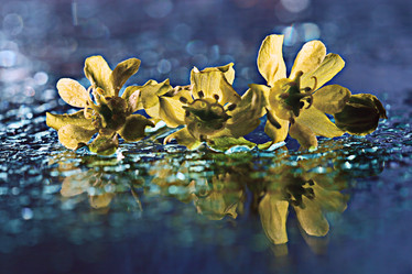 Similar image 10532571