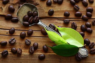 Similar image 10532818