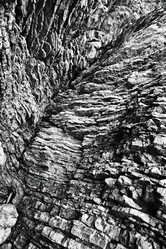 Similar image 10532825