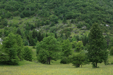 Similar image 10532935