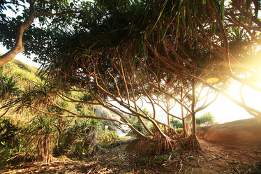 Similar image 10532950