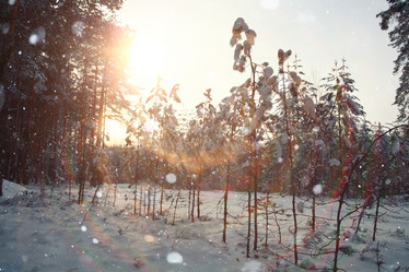 Similar image 10532996