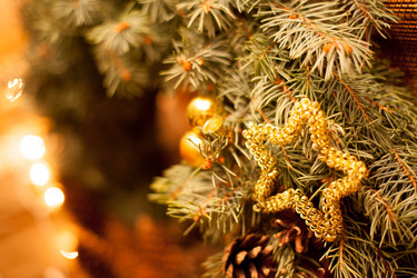 Similar image 10533015