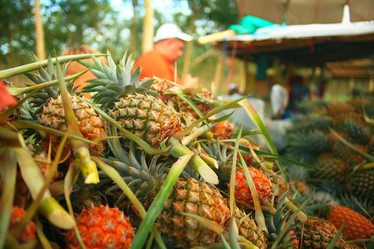 Similar image 10533023