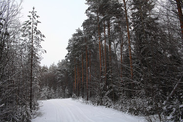 Similar image 10533025