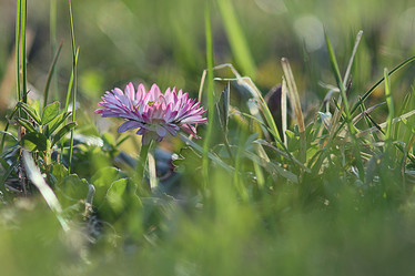 Similar image 10533029