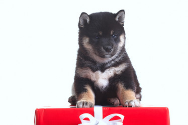 Similar image 10533042