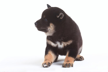 Similar image 10533043